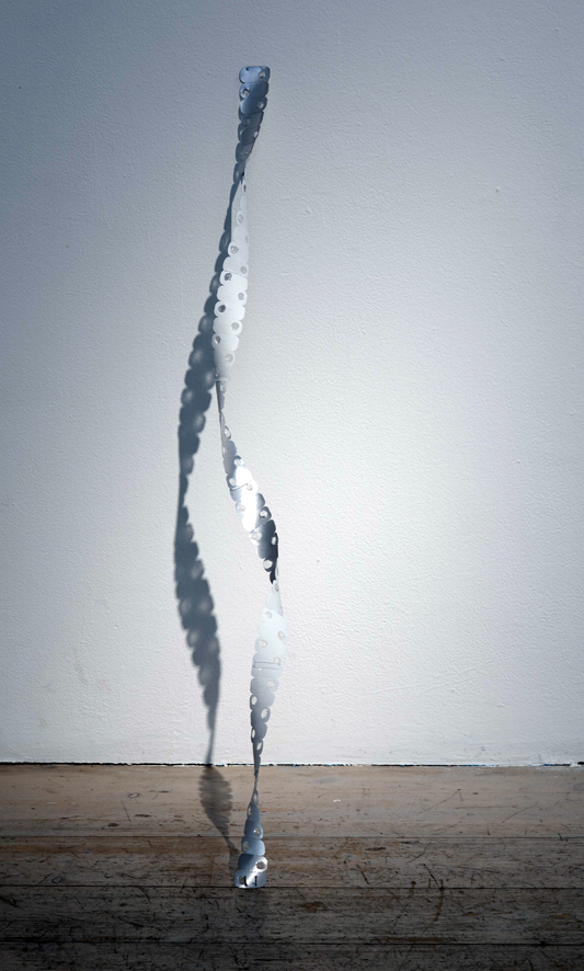 Recollections 56 days by Joanna Thede
