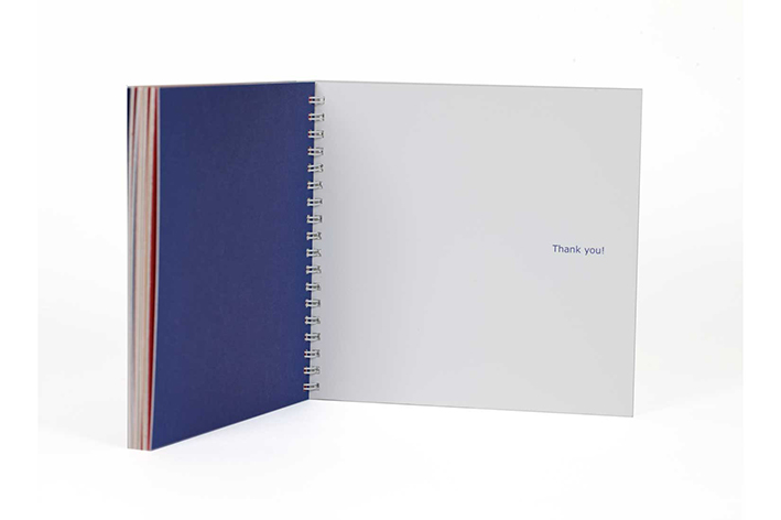 thede_please_turn_page_artists_book